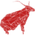 Foto del avatar