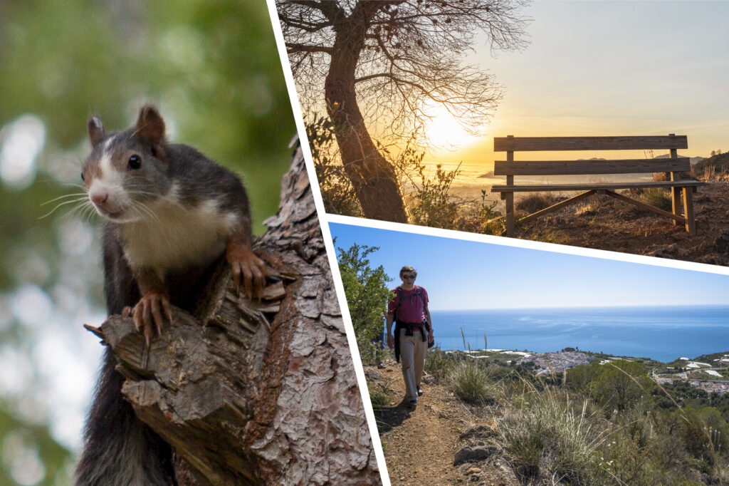 7 razones para visitar la Cueva de Nerja
